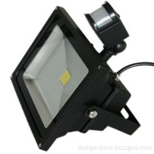 Shenzhen Lamp Manufacturer, 30W LED Floodlight with Sensor